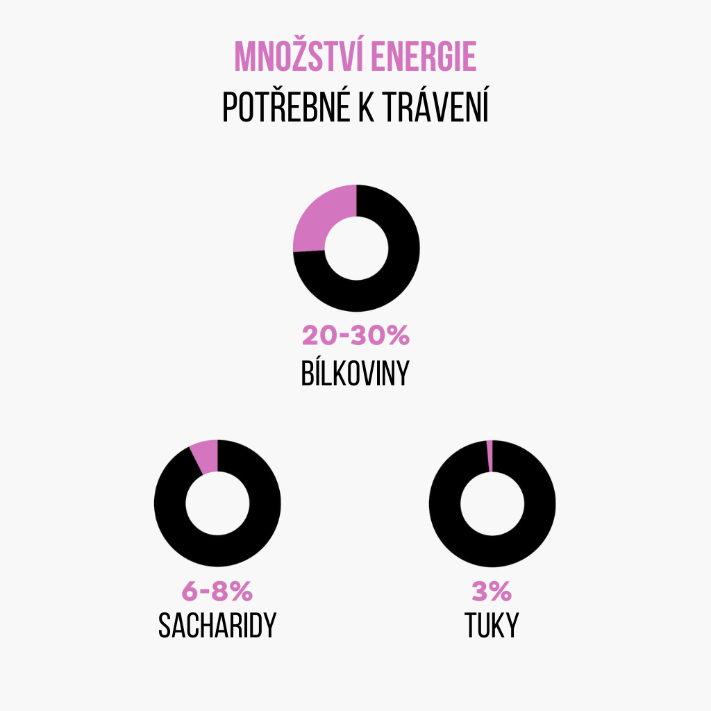 Zensky protein studie energie